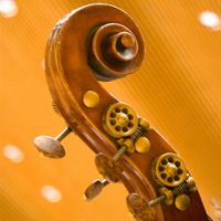 Bassschnecke
